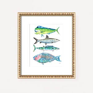 Puede incluir: Una pintura de acuarela enmarcada de cuatro tipos diferentes de peces. Los peces est&aacute;n dispuestos verticalmente, con el pez m&aacute;s grande en la parte superior y el pez m&aacute;s peque&ntilde;o en la parte inferior. Los peces est&aacute;n pintados en tonos de azul, verde y rosa.