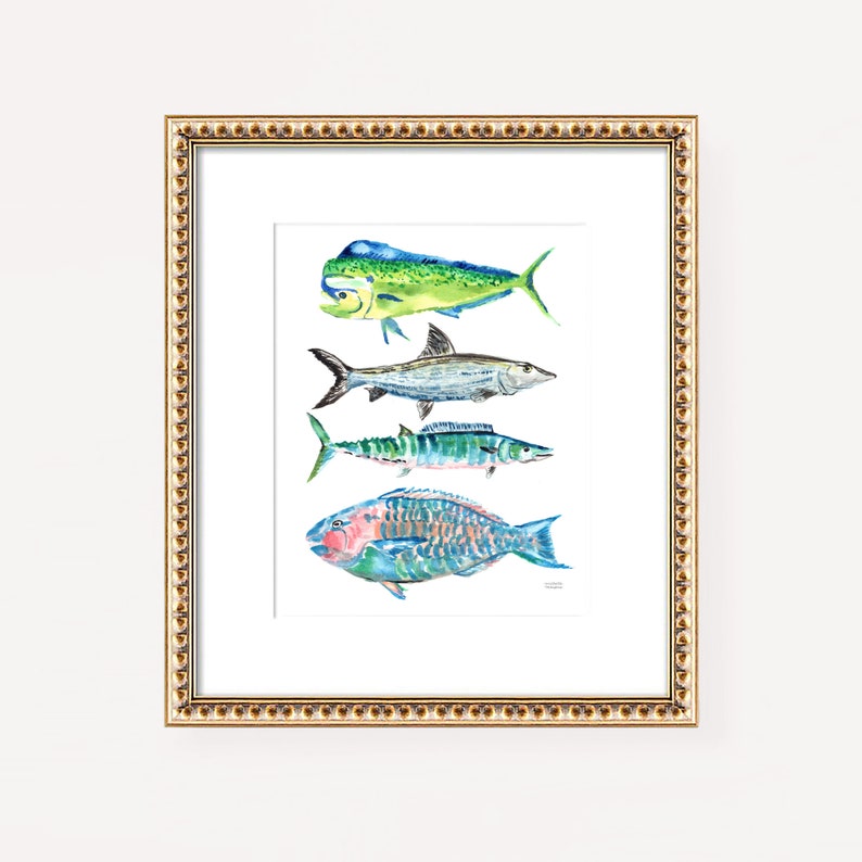 Puede incluir: Una pintura de acuarela enmarcada de cuatro tipos diferentes de peces. Los peces est&aacute;n dispuestos verticalmente, con el pez m&aacute;s grande en la parte superior y el pez m&aacute;s peque&ntilde;o en la parte inferior. Los peces est&aacute;n pintados en tonos de azul, verde y rosa.