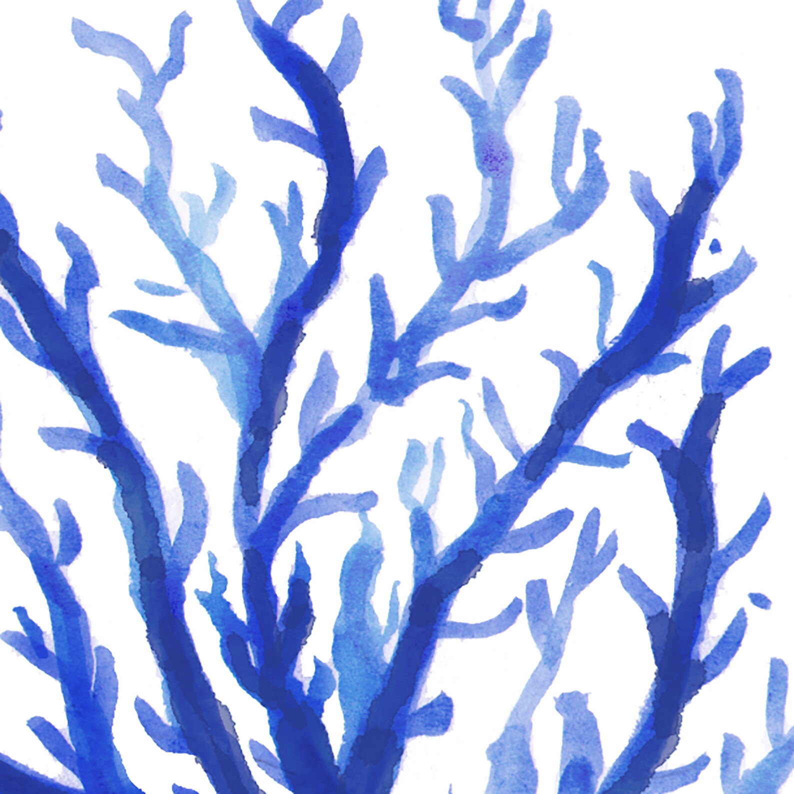 Blue Coral Watercolor Print / Coral Watercolor Painting / Etsy