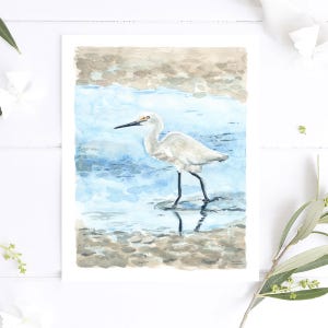 May include: Watercolor painting of a white egret standing in shallow blue water. The egret has a long, thin beak and long, slender legs. The water is a light blue color and the background is a light brown color.