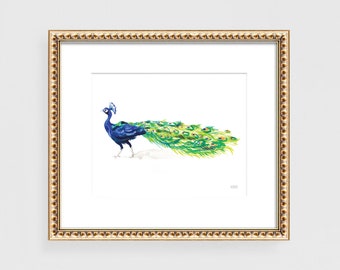 Peacock Print, Original Hand-drawn Watercolor Peacock Artwork By Michelle Mospens
