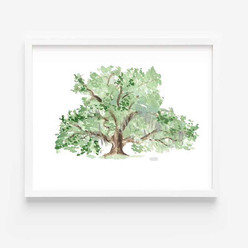 May include: Watercolor painting of a large green oak tree with long, trailing branches. The tree is painted in a light, airy style, with soft green and brown hues.