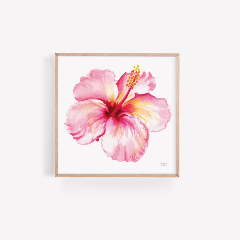 K&ouml;nnte beinhalten: Aquarellmalerei einer rosa Hibiskusbl&uuml;te mit gelben und roten Akzenten, gerahmt in einem quadratischen Rahmen aus hellem Holz. Die Bl&uuml;te hat mehrere Bl&uuml;tenbl&auml;tter und einen prominenten Stempel. Das Kunstwerk befindet sich auf wei&szlig;em Hintergrund.