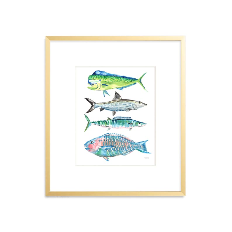 Puede incluir: Una pintura de acuarela de cuatro tipos diferentes de peces. Los peces est&aacute;n dispuestos verticalmente, con el pez m&aacute;s grande en la parte superior y el pez m&aacute;s peque&ntilde;o en la parte inferior. Los peces est&aacute;n todos pintados en tonos de azul, verde y rosa.