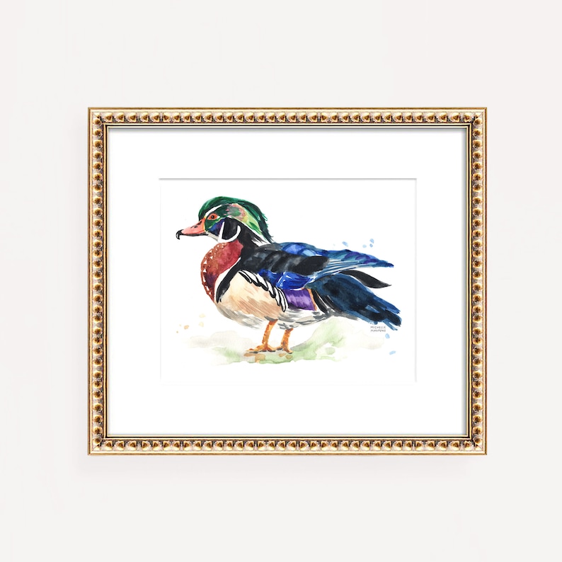 May include: A watercolor painting of a wood duck with a green head, red breast, blue wings, and a white background.