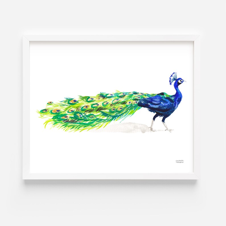 May include: A watercolor painting of a peacock with its tail feathers spread out. The peacock is blue and green with a white background.