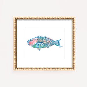 May include: A framed watercolor print of a colorful fish. The fish features shades of blue, green, pink, and orange. The artwork is set against a white background and framed in a gold-colored frame. The frame has a detailed, textured border.