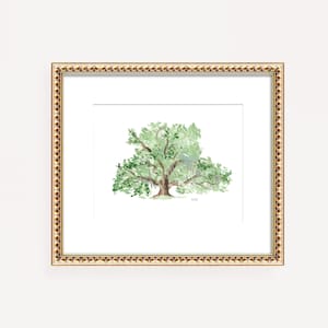 Watercolor Oak Tree Print: Southern Coastal Wall Art