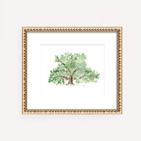 Southern Oak Tree Art, Coastal Wall Art, Watercolor Oak Tree Print, South Carolina Tree Painting, Beach House Art