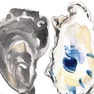 May include: Two watercolor paintings of oyster shells. One shell is painted in shades of gray and white, while the other is painted in shades of blue, yellow, and white.