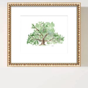 May include: A watercolor painting of a large, green oak tree with a thick trunk and branches that spread out wide. The tree is painted on a white background and framed in a gold frame.
