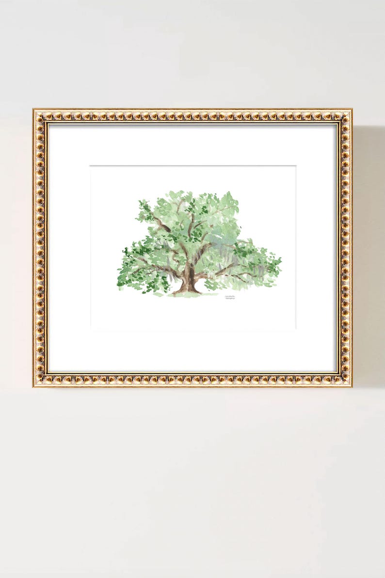May include: A watercolor painting of a large, green oak tree with a thick trunk and branches that spread out wide. The tree is painted on a white background and framed in a gold frame.