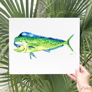 May include: Watercolor painting of a mahi-mahi fish. The fish is depicted in shades of green, blue, and yellow, with a detailed rendering of its fins and scales. The artwork is on white paper, held against a backdrop of green palm leaves.