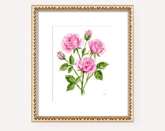 May include: A framed watercolor painting of a cluster of pink roses with green leaves and stems. The artwork is encased in a decorative gold-toned frame with a white mat border, showcasing a botanical illustration of blooming flowers and buds.