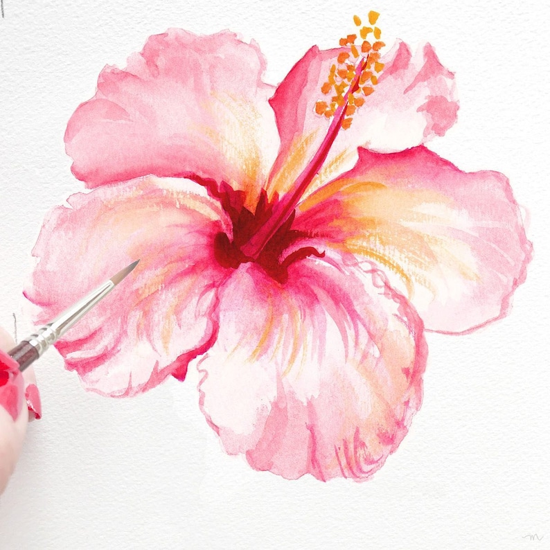 K&ouml;nnte beinhalten: Aquarellmalerei einer rosa Hibiskusbl&uuml;te mit gelbem Zentrum und orangefarbenen Staubgef&auml;&szlig;en. Die Bl&uuml;te steht in voller Bl&uuml;te, mit zarten Bl&uuml;tenbl&auml;ttern und detaillierter Wiedergabe. Ein Pinsel wird in der N&auml;he der Blume gehalten, was den Malprozess andeutet.