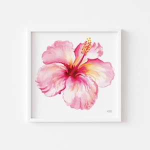 Hibiscus Floral Print, Hibiscus Flower Art Print, Hibiscus Flower Watercolor, Floral Art | Coastal Art, Coastal Decor, Square Art Print