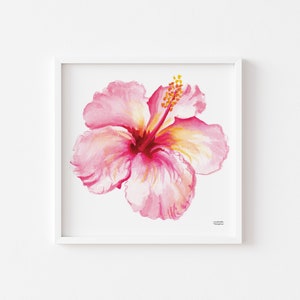 Hibiscus Print, Cute Watercolor Illustrated Pink Hibiscus Botanical Flower Painting Print by Artist Michelle Mospens