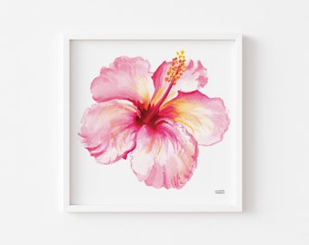 Hibiscus Floral Print, Hibiscus Flower Art Print, Hibiscus Flower Watercolor, Floral Art | Coastal Art, Coastal Decor, Square Art Print