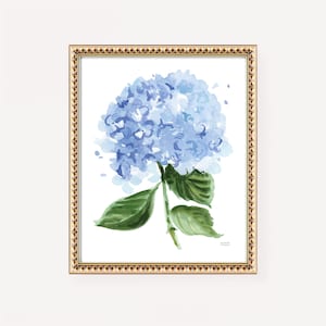 Blue Hydrangea Art Print, Botanical Flower Watercolor Painting by ...