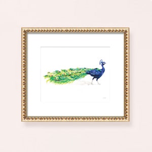 May include: A framed watercolor painting of a peacock with its tail feathers spread out. The peacock is blue and green, and the background is white.