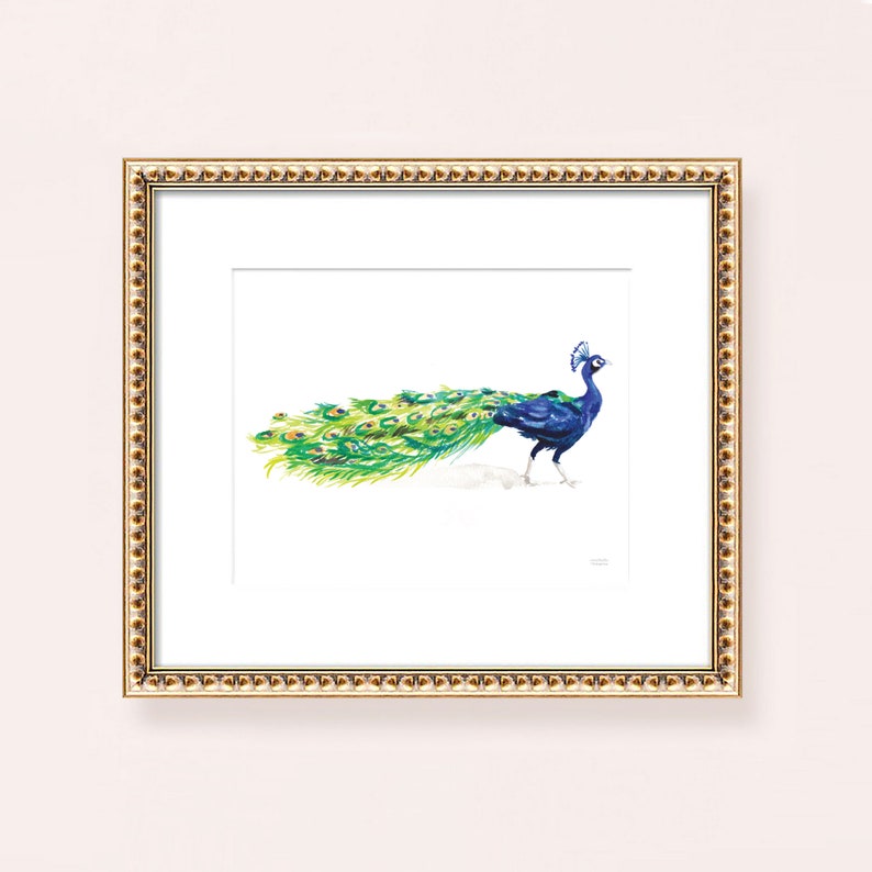 May include: A framed watercolor painting of a peacock with its tail feathers spread out. The peacock is blue and green, and the background is white.