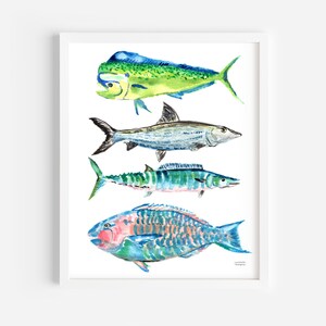 Puede incluir: Pintura acuarela de cuatro tipos diferentes de peces. Los peces son un mahi-mahi, una barracuda, un wahoo y un pez loro. Los peces est&aacute;n pintados en tonos de azul, verde, amarillo y rojo.