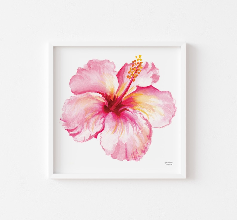 K&ouml;nnte beinhalten: Aquarellmalerei einer rosa Hibiskusbl&uuml;te mit gelben und roten Akzenten, gerahmt in einem wei&szlig;en quadratischen Rahmen. Die Bl&uuml;tenbl&auml;tter sind mit sanften Schattierungen detailliert. Das Kunstwerk ist unten rechts signiert.
