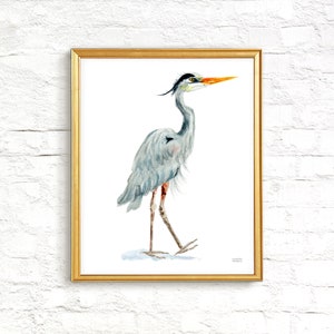 Heron Print, Blue Heron Art, Coastal Wall Art, Watercolor Heron Painting by Michelle Mospens, South Carolina Art, South Carolina Gift image 5