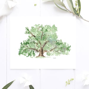 May include: Watercolor painting of a large green tree with long branches and a thick trunk. The tree is painted on a white background.