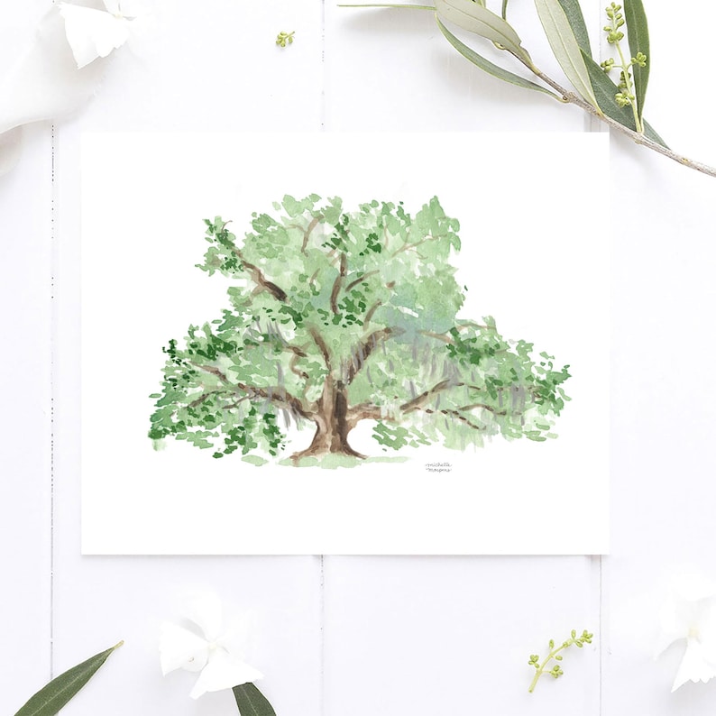 May include: Watercolor painting of a large green tree with long branches and a thick trunk. The tree is painted on a white background.