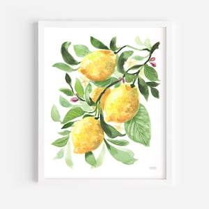 May include: Watercolor painting of lemons on a branch with green leaves and small pink buds. The lemons are yellow and the leaves are various shades of green. The artwork is framed in a white frame.