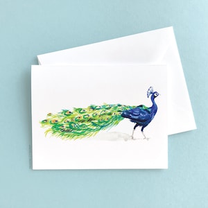 Set of Illustrated Peacock Note Cards: Colorful Watercolor Peacock Stationery Notecards (Stationary)