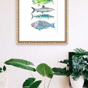 Puede incluir: Pintura acuarela enmarcada de cuatro tipos diferentes de peces. Los peces son un mahi-mahi, una barracuda, un wahoo y un pez loro. Los peces est&aacute;n pintados en tonos de azul, verde, amarillo y rosa.