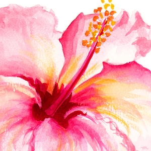K&ouml;nnte beinhalten: Aquarellmalerei einer leuchtend rosa Hibiskusbl&uuml;te. Die Bl&uuml;tenbl&auml;tter der Blume sind ein Farbverlauf aus Rosa und Wei&szlig;, mit einem tiefroten Zentrum und gelben Akzenten. Die Staubgef&auml;&szlig;e sind leuchtend orange.