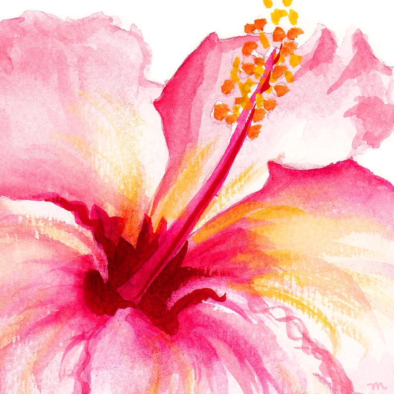 K&ouml;nnte beinhalten: Aquarellmalerei einer leuchtend rosa Hibiskusbl&uuml;te. Die Bl&uuml;tenbl&auml;tter der Blume sind ein Farbverlauf aus Rosa und Wei&szlig;, mit einem tiefroten Zentrum und gelben Akzenten. Die Staubgef&auml;&szlig;e sind leuchtend orange.