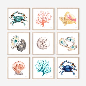 Cuadros de acuarela con motivos costeros, pinturas de acuarela costeras de Michelle Mospens, láminas de ostras, conchas marinas, cangrejos y corales (juego de 9).