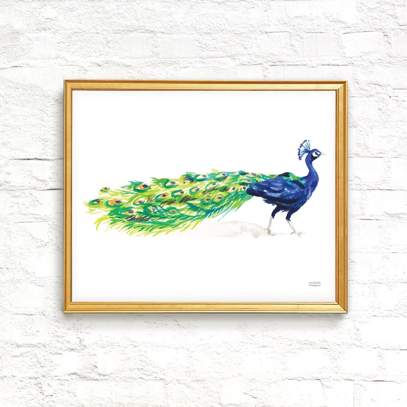 May include: A watercolor painting of a peacock with its tail feathers spread out. The peacock is blue and green with a white background.