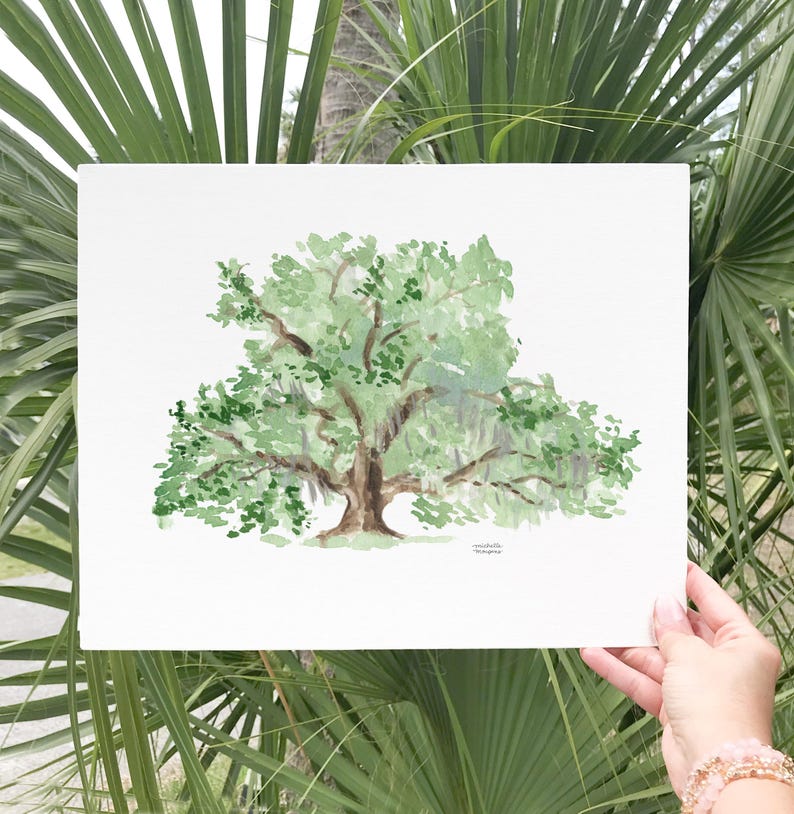May include: Watercolor painting of a large green oak tree with long branches and hanging moss. The painting is on white paper and has the artist's signature in the bottom right corner.