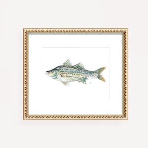 Striped Bass Fish Wall Art Watercolor Fish Print by Michelle Mospens Nautical Coastal Fish Painting Decor Angler Gift