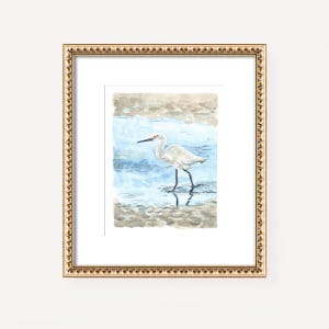 May include: A watercolor painting of a white egret standing in shallow water. The egret is facing left and has its head tilted down as if it is looking for food. The water is a light blue color and the background is a light brown color.