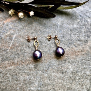 Puede incluir: Un par de pendientes de aro de oro con gotas de perlas de color morado oscuro.