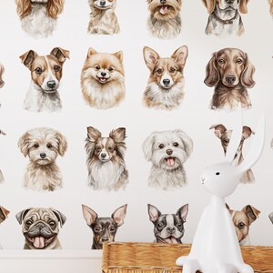 Mixed Breeds Dog Wallpaper Peel and Stick Wallpaper Removable Traditional Pre-Pasted Self-Adhesive Animal Dog Wallpaper by InspiringAbode