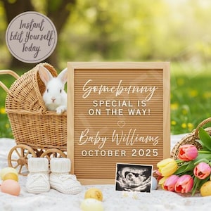 Easter Pregnancy Announcement Digital Baby Announcement Spring Editable Template Instant Pregnancy Download Custom Pregnancy Announcement
