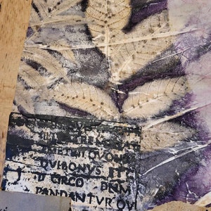 Może przedstawiać: Zbliżenie na odcisk liścia na tle teksturowanego papieru. Liść jest jasnobrązowy, a papier ciemnoszary. Na papierze znajduje się wydrukowany tekst, w tym słowa "DVBONVS IT", "CIRCO DEN" i "FOVEN".