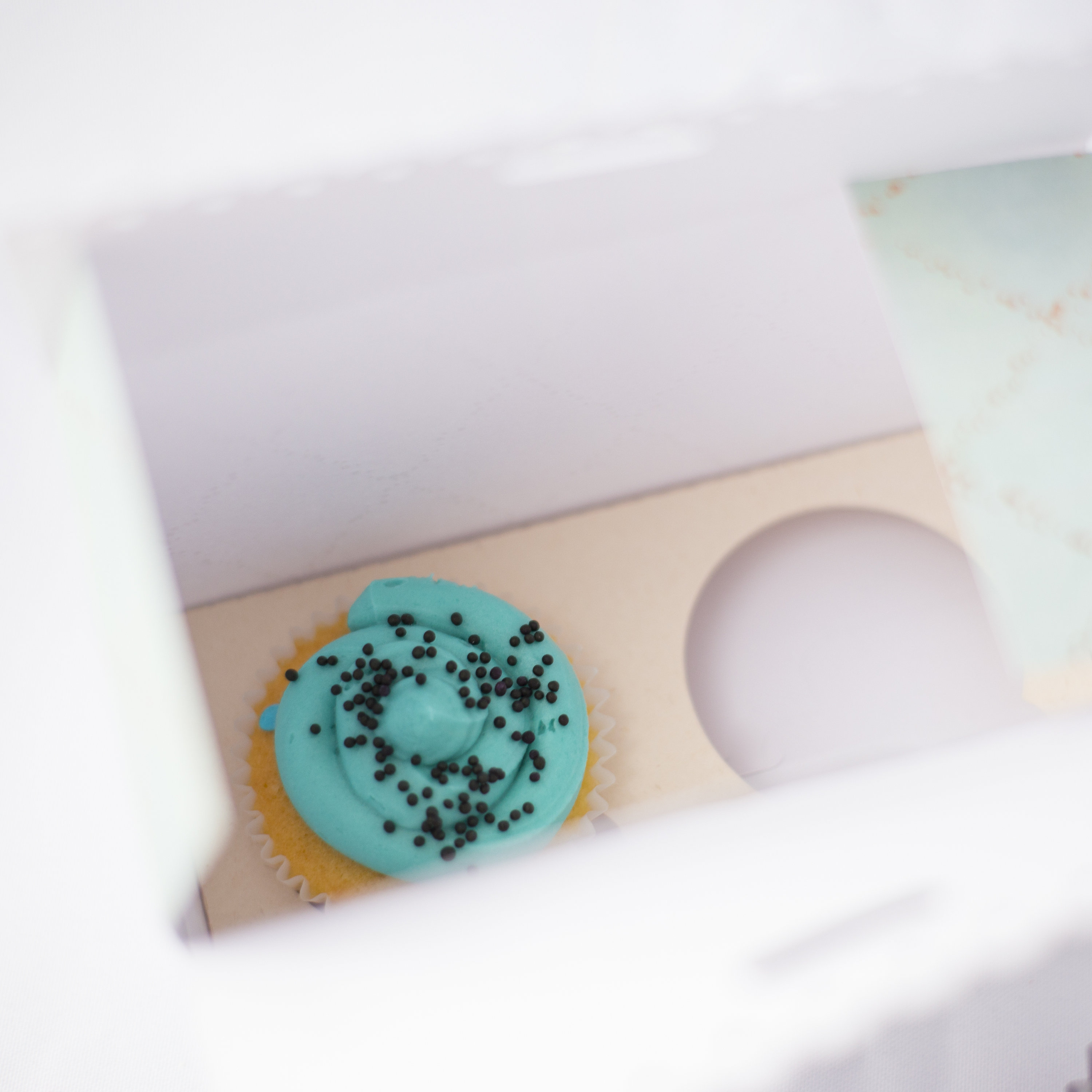 Cupcakes box template 5 Files Etsy