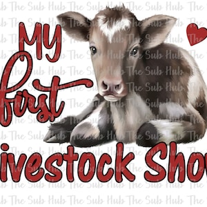 May include: A brown and white calf with a red heart in the upper right corner of the image. The text "My First Livestock Show" is written in red with a black outline.