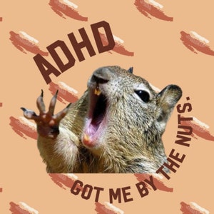 ADHD (squirrel)