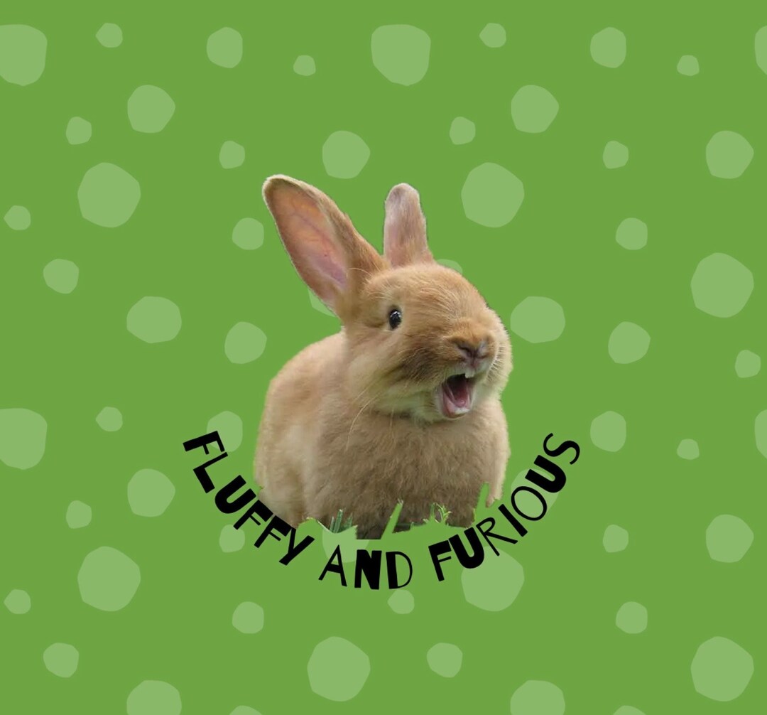 Furious Rabbit Furious (rabbit) - Etsy