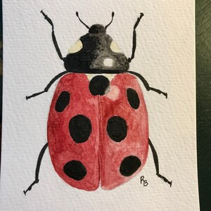 Carte de voeux coccinelle aquarelle faite main