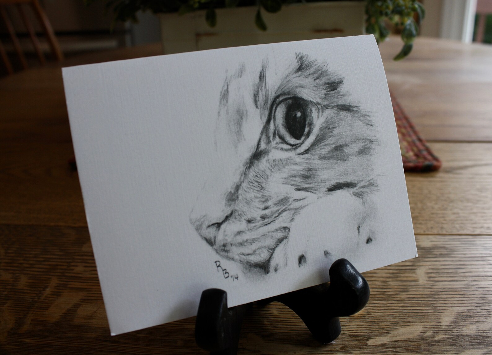 Handmade Cat Greeting Card Etsy